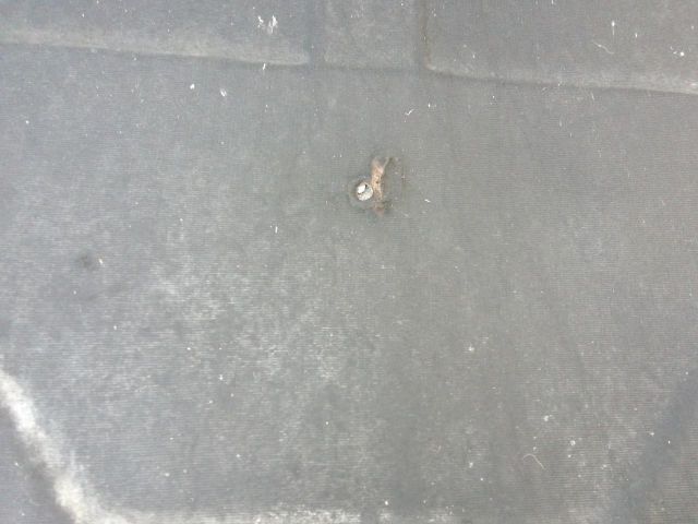 bontott ALFA ROMEO 156 Motorháztető Szigetelés