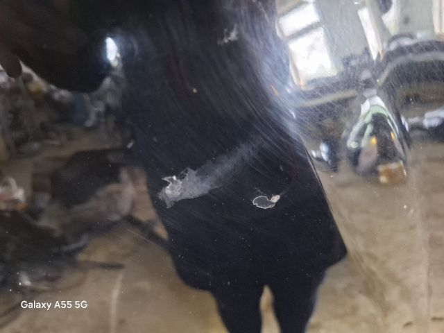 bontott ALFA ROMEO 156 Motorháztető