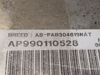 bontott ALFA ROMEO 156 Utasoldali Légzsák