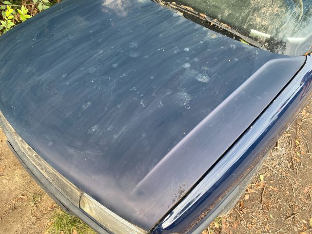 bontott AUDI 80 Motorháztető