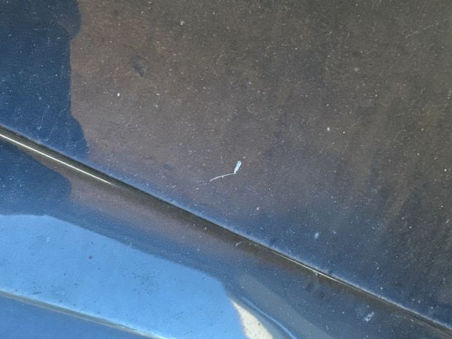 bontott AUDI A2 Bal első Ajtó (Üres lemez)