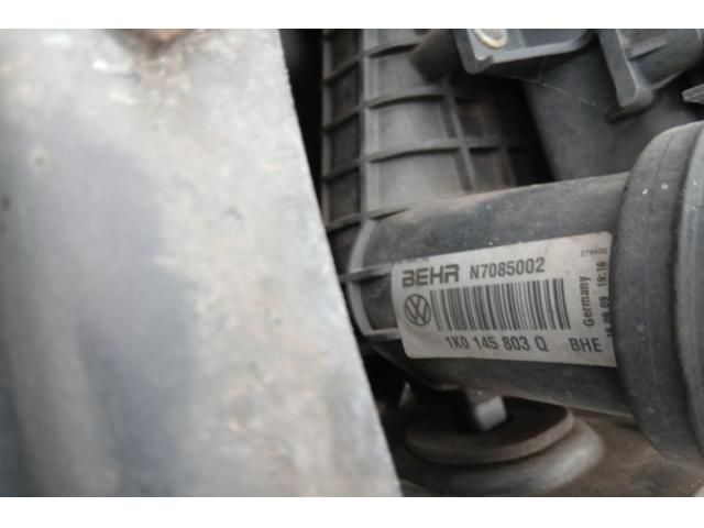 bontott AUDI A3 Homlokfal (Üres lemez)