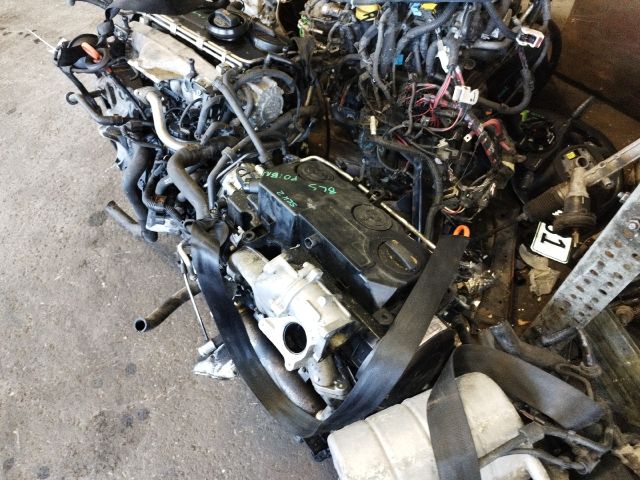 bontott AUDI A3 Motor (Fűzött blokk hengerfejjel)