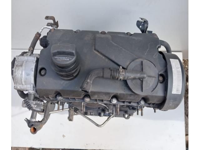 bontott AUDI A3 Motor (Fűzött blokk hengerfejjel)