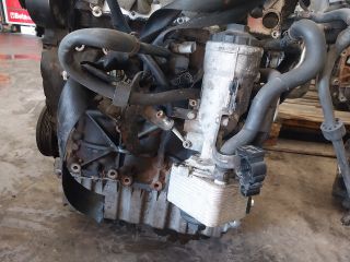 bontott AUDI A3 Motor (Fűzött blokk hengerfejjel)