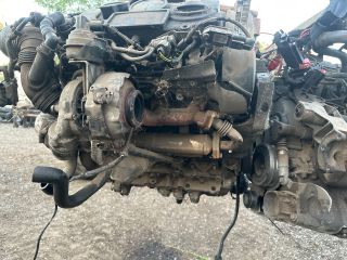 bontott AUDI A3 Motor (Fűzött blokk hengerfejjel)