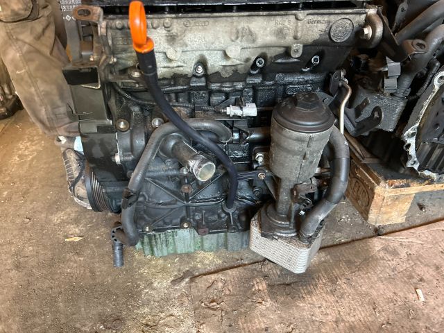 bontott AUDI A3 Motor (Fűzött blokk hengerfejjel)