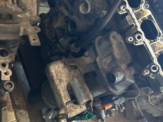 bontott AUDI A3 Motor (Fűzött blokk hengerfejjel)