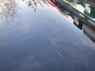 bontott AUDI A3 Bal első Ajtó (Üres lemez)