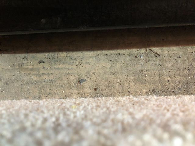 bontott AUDI A3 Bal első Ajtó (Üres lemez)