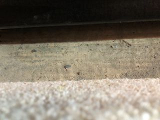 bontott AUDI A3 Bal első Ajtó (Üres lemez)