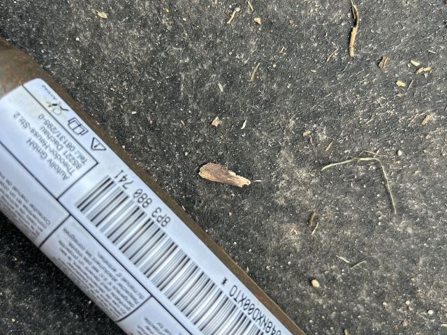 bontott AUDI A3 Bal első Függöny Légzsák