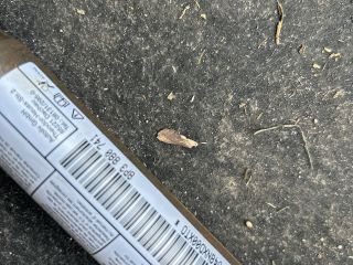 bontott AUDI A3 Bal első Függöny Légzsák