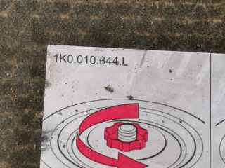 bontott AUDI A3 Csomagtér Tálca