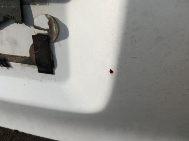 bontott AUDI A3 Csomagtérajtó (Részeivel)