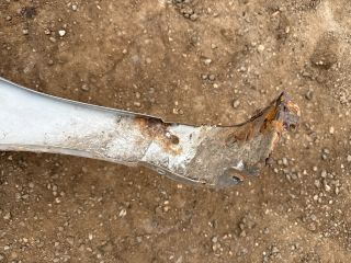 bontott AUDI A3 Jobb első Sárvédő