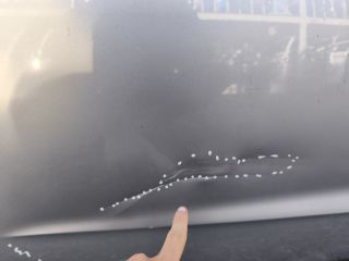 bontott AUDI A3 Jobb hátsó Ajtó (Üres lemez)