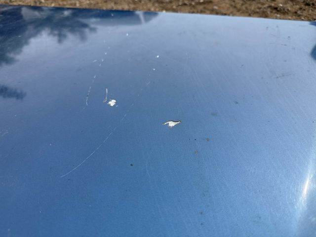 bontott AUDI A3 Motorháztető