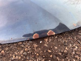 bontott AUDI A3 Motorháztető