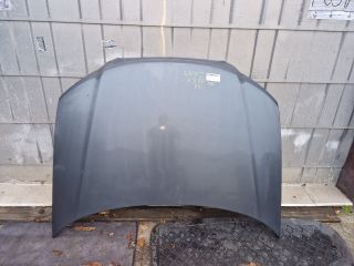 bontott AUDI A3 Motorháztető