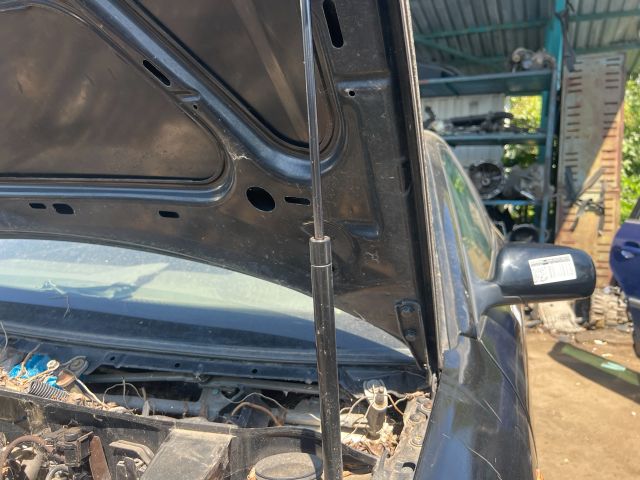 bontott AUDI A3 Motorháztető