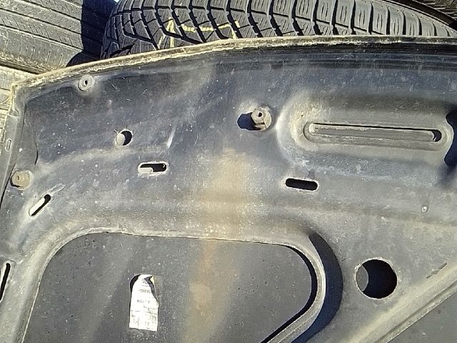 bontott AUDI A3 Motorháztető