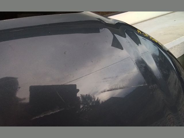 bontott AUDI A3 Motorháztető