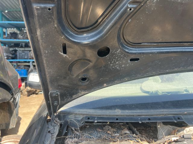 bontott AUDI A3 Motorháztető