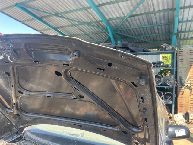 bontott AUDI A3 Motorháztető