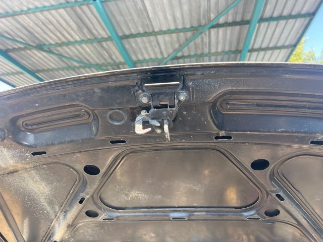 bontott AUDI A3 Motorháztető