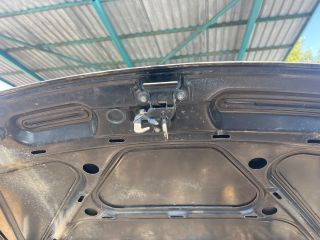 bontott AUDI A3 Motorháztető