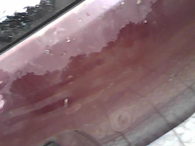 bontott AUDI A4 B5 Csomagtérajtó (Üres lemez)