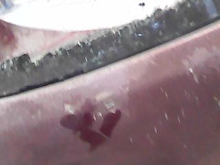 bontott AUDI A4 B5 Csomagtérajtó (Üres lemez)