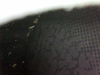 bontott AUDI A4 B6 Katalizátor