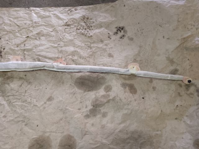 bontott AUDI A4 B6 Bal első Függöny Légzsák