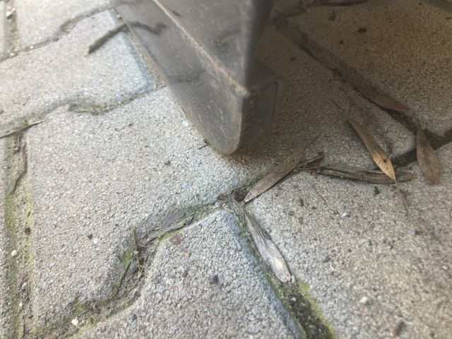 bontott AUDI A4 B6 Bal hátsó Ajtó (Részeivel)