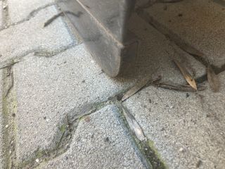 bontott AUDI A4 B6 Bal hátsó Ajtó (Részeivel)