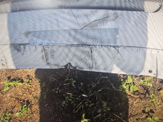 bontott AUDI A4 B6 Első Lökhárító (Részeivel)