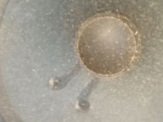 bontott AUDI A4 B6 Mélynyomó Hangszóró