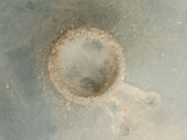 bontott AUDI A4 B6 Mélynyomó Hangszóró