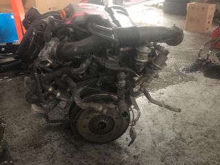 bontott AUDI A4 B7 Motor (Fűzött blokk hengerfejjel)