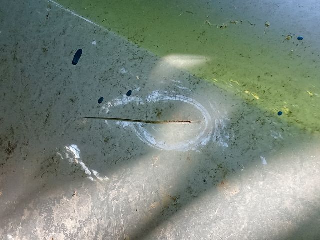 bontott AUDI A4 B7 Bal hátsó Ajtó (Üres lemez)