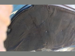 bontott AUDI A4 B7 Motorháztető