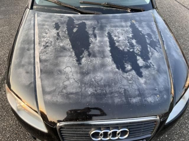 bontott AUDI A4 B7 Motorháztető