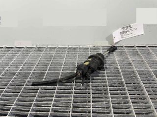 bontott AUDI A4 B8 Kuplung Munkahenger