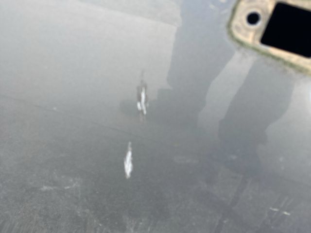 bontott AUDI A4 B8 Bal hátsó Ajtó (Üres lemez)