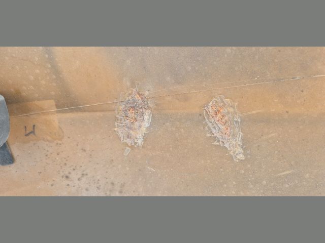 bontott AUDI A4 B8 Hátsó Lökhárító (Üresen)