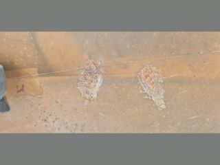 bontott AUDI A4 B8 Hátsó Lökhárító (Üresen)