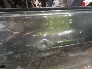 bontott AUDI A4 B8 Jobb hátsó Ajtó (Üres lemez)