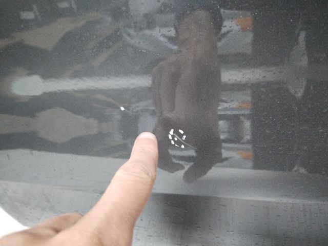 bontott AUDI A4 B9 Bal hátsó Ajtó (Üres lemez)